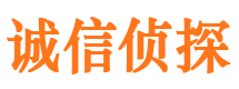 沅江市侦探调查公司